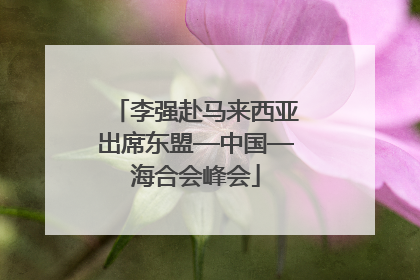 李强赴马来西亚出席东盟—中国—海合会峰会