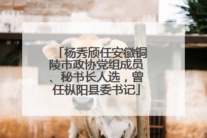 杨秀颀任安徽铜陵市政协党组成员、秘书长人选，曾任枞阳县委书记