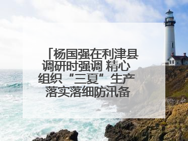 杨国强在利津县调研时强调 精心组织“三夏”生产 落实落细防汛备汛工作
