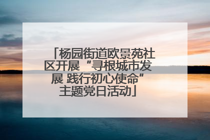 杨园街道欧景苑社区开展“寻根城市发展 践行初心使命”主题党日活动