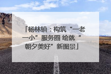 杨林镇：构筑“一老一小”服务圈 绘就“朝夕美好”新图景