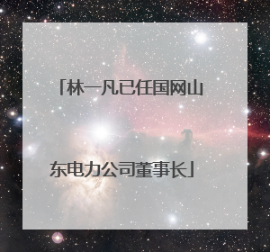 林一凡已任国网山东电力公司董事长