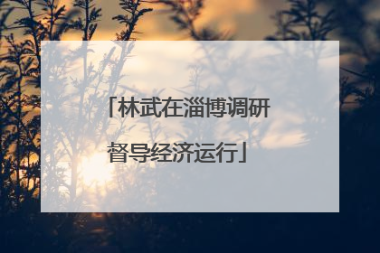 林武在淄博调研督导经济运行