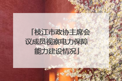 枝江市政协主席会议成员视察电力保障能力建设情况