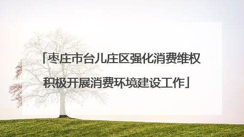 枣庄市台儿庄区强化消费维权 积极开展消费环境建设工作