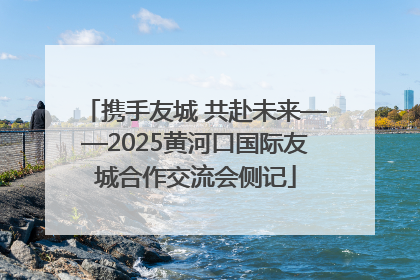 携手友城 共赴未来——2025黄河口国际友城合作交流会侧记
