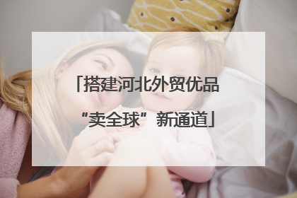 搭建河北外贸优品“卖全球”新通道
