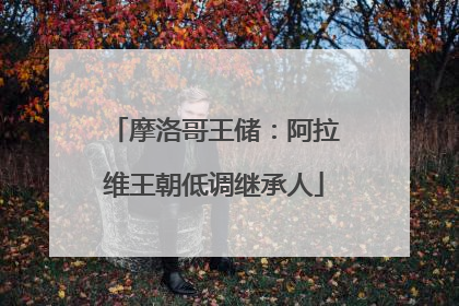 摩洛哥王储：阿拉维王朝低调继承人