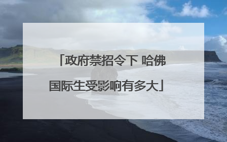 政府禁招令下 哈佛国际生受影响有多大