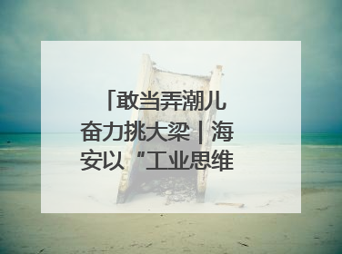 敢当弄潮儿 奋力挑大梁｜海安以“工业思维”拓宽共富路