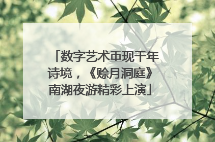 数字艺术重现千年诗境，《赊月洞庭》南湖夜游精彩上演