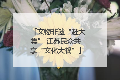 文物非遗“赶大集” 江苏民众共享“文化大餐”