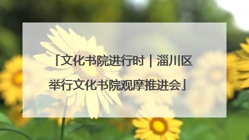 文化书院进行时｜淄川区举行文化书院观摩推进会