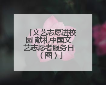 文艺志愿进校园 献礼中国文艺志愿者服务日（图）