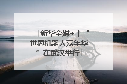 新华全媒+丨“世界机器人嘉年华”在武汉举行