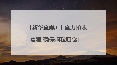 新华全媒+丨全力抢收夏粮 确保颗粒归仓