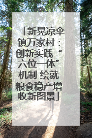 新晃凉伞镇万家村：创新实践“六位一体”机制 绘就粮食稳产增收新图景