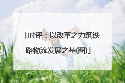 时评：以改革之力筑铁路物流发展之基(图)