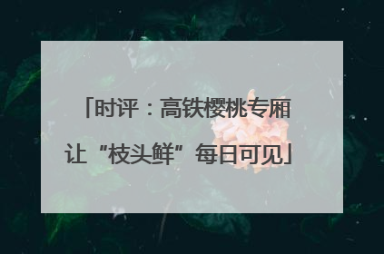 时评：高铁樱桃专厢 让“枝头鲜”每日可见