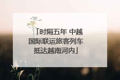 时隔五年 中越国际联运旅客列车抵达越南河内
