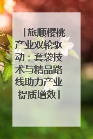 旅顺樱桃产业双轮驱动：套袋技术与精品路线助力产业提质增效