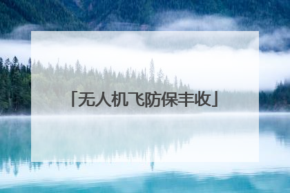 无人机飞防保丰收