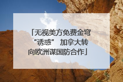 无视美方免费金穹“诱惑” 加拿大转向欧洲谋国防合作