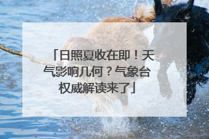日照夏收在即！天气影响几何？气象台权威解读来了