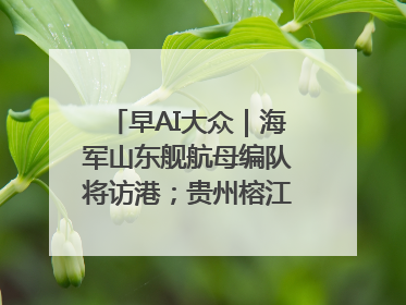 早AI大众｜海军山东舰航母编队将访港；贵州榕江已撤离转移群众超4万人