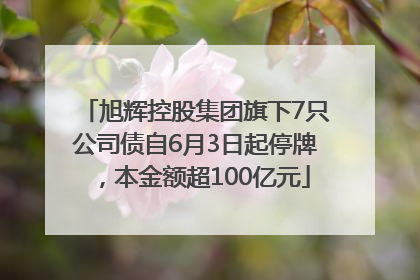旭辉控股集团旗下7只公司债自6月3日起停牌，本金额超100亿元