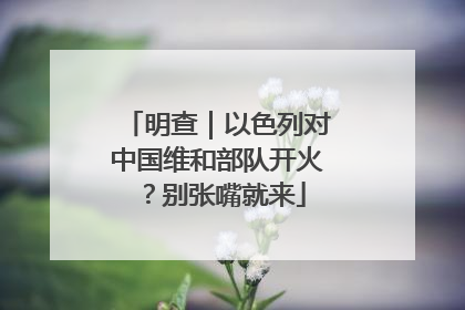明查｜以色列对中国维和部队开火？别张嘴就来