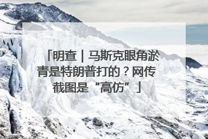 明查｜马斯克眼角淤青是特朗普打的？网传截图是“高仿”
