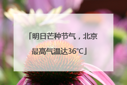 明日芒种节气，北京最高气温达36℃