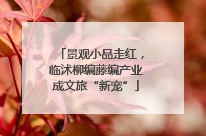 景观小品走红，临沭柳编藤编产业成文旅“新宠”