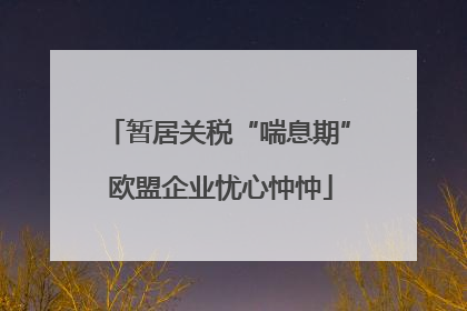暂居关税“喘息期” 欧盟企业忧心忡忡