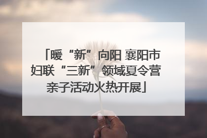 暖“新”向阳 襄阳市妇联“三新”领域夏令营亲子活动火热开展
