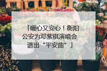 暖心又安心！衡阳公安为邓紫棋演唱会谱出“平安曲”