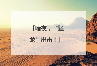 暗夜，“猛龙”出击！