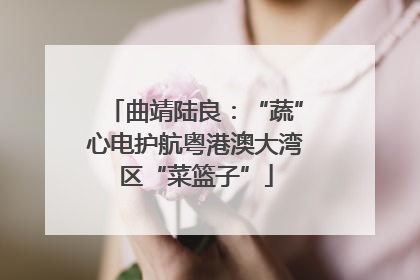 曲靖陆良：“蔬”心电护航粤港澳大湾区“菜篮子”