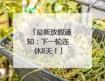 最新放假通知：下一轮连休8天！