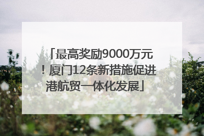 最高奖励9000万元！厦门12条新措施促进港航贸一体化发展