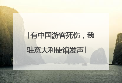 有中国游客死伤，我驻意大利使馆发声
