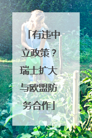 有违中立政策？瑞士扩大与欧盟防务合作