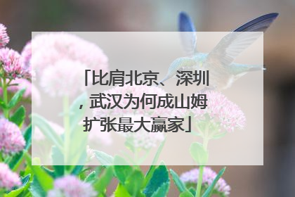 比肩北京、深圳，武汉为何成山姆扩张最大赢家