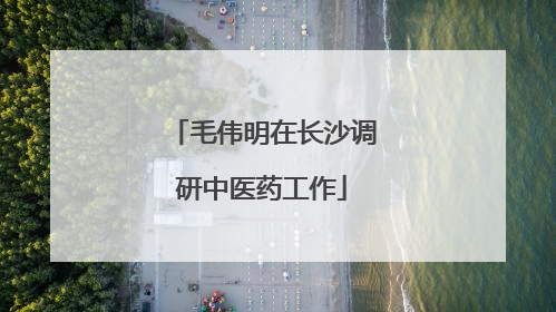 毛伟明在长沙调研中医药工作