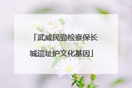 武威民勤检察保长城遗址护文化基因