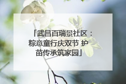 武昌百瑞景社区：粽意童行庆双节 护苗传承筑家园