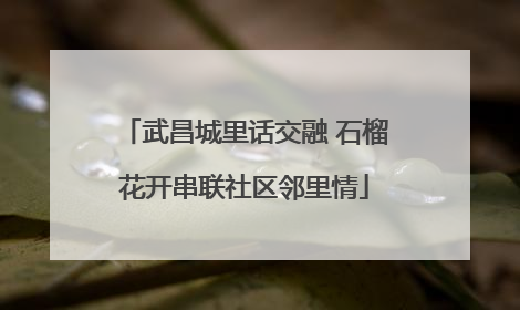 武昌城里话交融 石榴花开串联社区邻里情