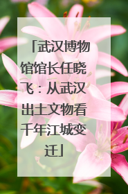 武汉博物馆馆长任晓飞：从武汉出土文物看千年江城变迁