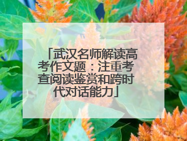 武汉名师解读高考作文题：注重考查阅读鉴赏和跨时代对话能力
